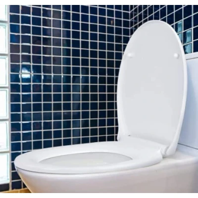 Image of Marco Paul Quick Release Soft Close Toilet Seat Standard Traditional White Plastic Universal Fits Most Toilets with Fittings Bathroom