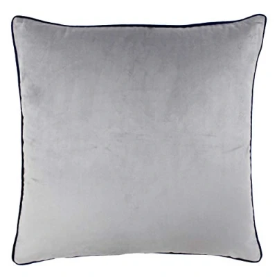 Image of Paoletti Meridian Piped Velvet Feather Filled Cushion Silver One Size