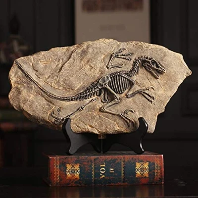 Image of XINDAM Resin Dinosaur Fossil Statue Model Simulated Skeleton Home Office Display Decorative Craft Box Decoration (Style 2)