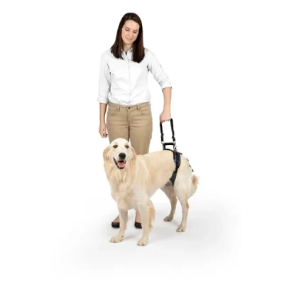 Image of PetSafe Rear Support Harness Lifting aid with handle Great for pet mobility and older dogs Comfortable, breathable material Easy to adjust Large, CareLift
