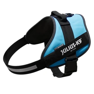 Image of Julius K9, 16IDC AM 4, IDC Powerharness, Size: Aquamarine
