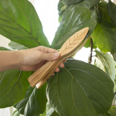 Image of Kikkerland Leaf Cleaning Tongs