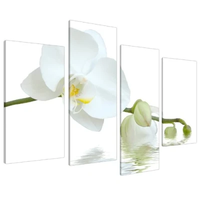 Image of Large White Orchids Green Canvas Wall Art Pictures Set Prints XL 4134