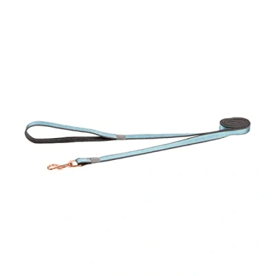 Image of Rogz Urban Strap Small Turquoise