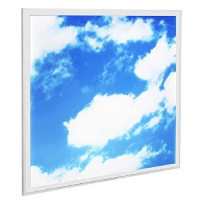 Image of Long Life Lamp Company 40w Sky LED Ceiling Panel 600 x Cloud Scene Recessed Office Light with Transformer
