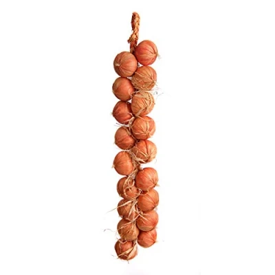 Image of Best Artificial Hanging Vegetable String Decorative Realistic Display New Pepper Fruit (Onion String)