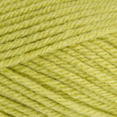 Image of Stylecraft 9061822 Special Chunky Pistachio (1822) Yarn 100g