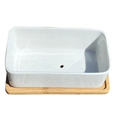 Image of Selections White Succulent Trough Pot, Outdoor, Small