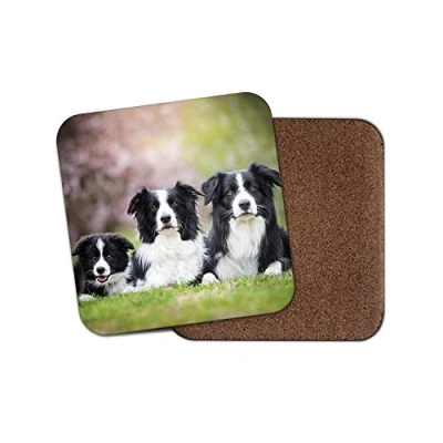 Image of 1 x Border Collie Family Drinks Coaster Puppy Dog Sheepdogs Farmer Fun #8625