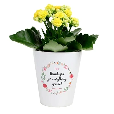 Image of The Gift Experience Personalised Plant Pot Gift, Bespoke Gifts, Garden Retirement Birthday Wedding Gifts