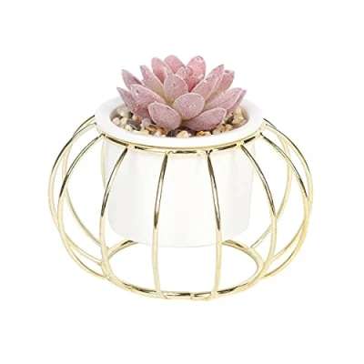 Image of Sleepdown Halo Red Succulent Artificial Faux Plant Gold Cage Stand for Home Office Bathroom Decor Indoor Decoration Aesthetics, Small