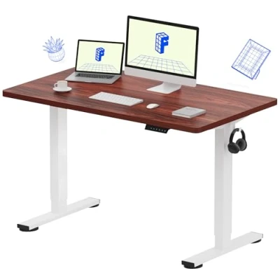 Image of FLEXISPOT Electric Height Adjustable Standing Desk Sit Stand Up with Memory Smart Pannel EF1 SERIES(120 * 60cm, White Frame+Mahogany Desktop)