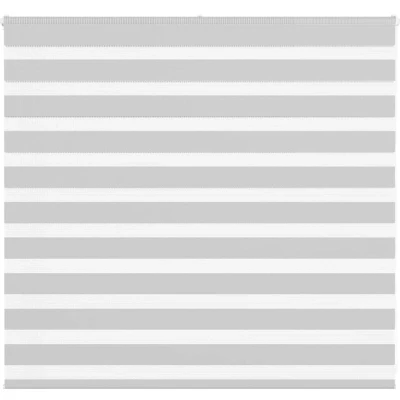 Image of vidaXL Zebra Blind Light Grey 155x100 cm Fabric Width 150.9 Polyester