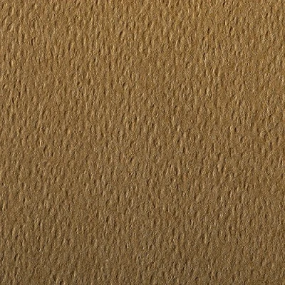 Image of Clairefontaine Ref 90877C Etival Coloured Grained Drawing Paper (Pack of 5 Sheets) A4 (29.7 x 21cm) 160gsm Cellulose Art Tobacco Acid Free, pH Neutral