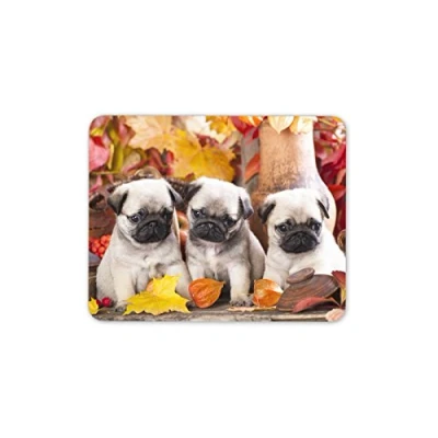 Image of Destination Vinyl ltd Pug Puppies Mouse Mat Pad Cute Baby Pugs Puppy Mum Sister Computer Gift #8217