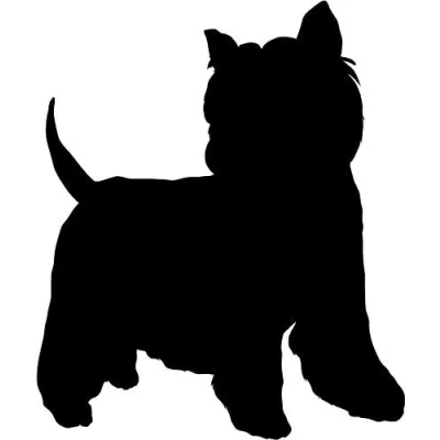 Image of Westie Terrier Dog Car, Van Window Sticker Decals