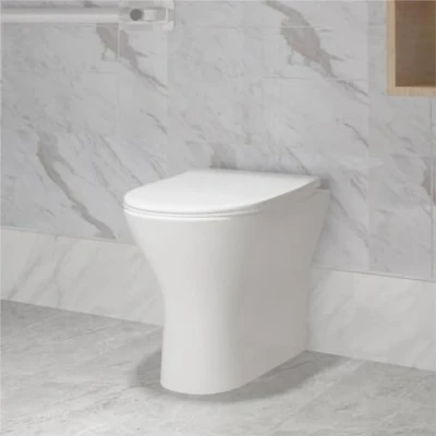 Image of Biubiubath Back to Wall Round Toilet Ceramic Soft Close Seat Modern Bathroom BTW WC Pan