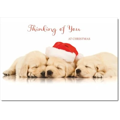 Image of doodlecards Thinking Of You Christmas Card Puppies with Santa Hat Medium Size for Plain Envelope