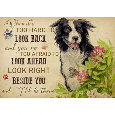 Image of Metal Sign Border Collie When It&#039;S Too Hard To Look Back Retro Vintage Tin Poster Wall Art Decor 8x12 Inches