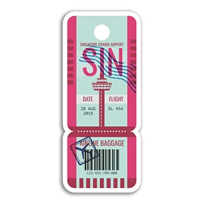 Image of 2 x 10cm Changi Airport Singapore Vinyl Stickers Travel Sticker Luggage #18450 (10cm Tall)