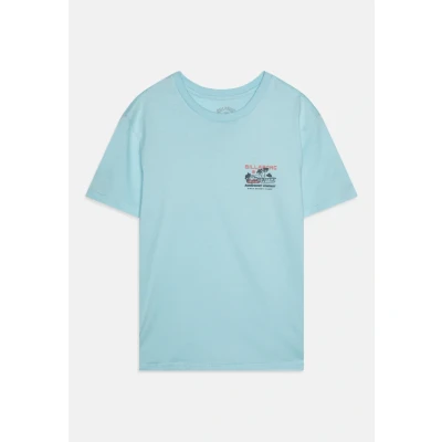 Image of Billabong PALM Springs Unisex Print Tshirt for kids, Size: 8y, Coastal blue
