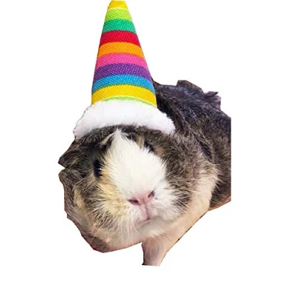 Image of Pet Rainbow Hat Rabbit Hamster Guinea Pig Ferret Kitten Small Animals Birthday