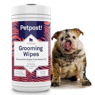 Image of Petpost Grooming Wipes for Dogs Large, Deodorizing with Cherry Blossom Scent 70 Ultra Soft Cotton Pads in Cleansing Solution ct