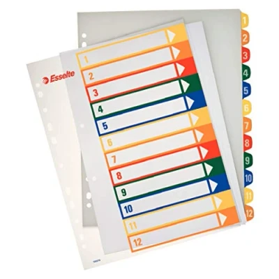 Image of Esselte A4 12 Positions Printable Index Polypropylene