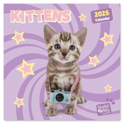 Image of Grupo Erik Wall Calendar 2025 Kittens 12&quot; x Square 2025, Planner Family Kitten