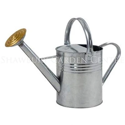 Image of Ambassador 9L Galvanised Watering Can