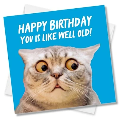 Image of Punkcards Funny Birthday Card &#039;You is like well old! Happy Birthday&#039; for Him or Her Women Cat Lover