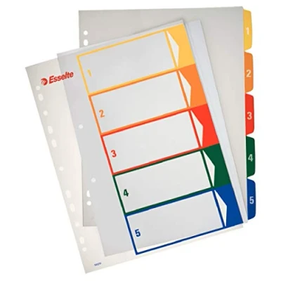 Image of Esselte A4 5 Positions Printable Index Polypropylene