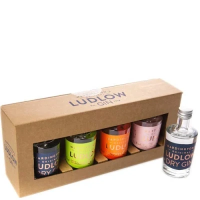 Image of Ludlow Gin Miniature Selection Pack 4x5cl