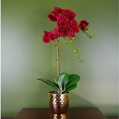 Image of Leaf 50cm Phalaenopsis Orchid Artificial Dark Red Gold Pot