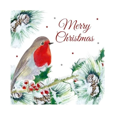 Image of Eurowrap Pack of 12 Assorted White Kraft Christmas Cards Xmas Traditional Robin, 2 Designs Seasons Greetings and Merry Eco Friendly Packaging 100% Recyclable
