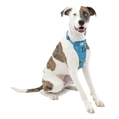 Image of Kurgo Tru Fit Smart Harness, Dog Pet Walking Quick Release Buckles, Front D Ring for No Pull Training, Includes Seat Belt Tether (Blue, Medium)