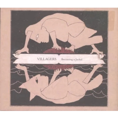 Image of Villagers Becoming A Jackal 2010 UK CD album WIGCD253