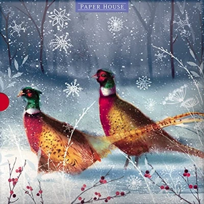Image of The Great British Card Company Paper House Box of 16 Christmas Cards Merry Pheasants and Robin Cards, 8 Each 2 Stunning Designs,Multi,197 x 197 40mm