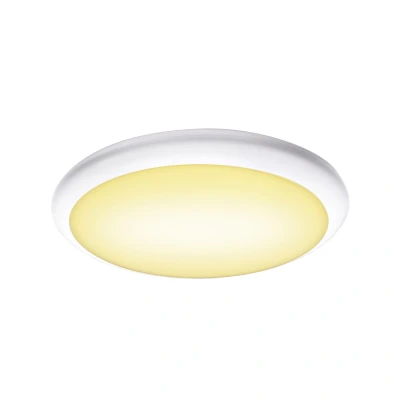Image of SLV Wall and Ceiling Mounted Light Ruba 42 CW/Lighting for Walls, Paths, entrances, Garden lamp, Spotlight / IP65 3000/4000K 22W 2000 2300lm White 120 Degrees