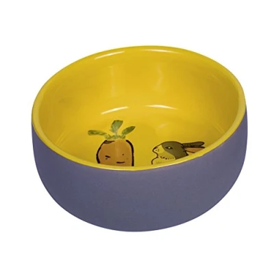 Image of Nobby Carrot Plus Rodent Ceramic Bowl Grey / Yellow Diameter 11 cm x 4.5