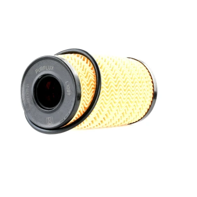 Image of FH1198 Oil Filter PURFLUX L1089 Insert RENAULT: Clio V Hatchback, Kadjar, Kangoo II Express, DACIA: Duster II, SANDERO 2, LOGAN MCV 2