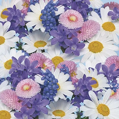 Image of DAISY 3 Ply Spring Flowers Tissue Paper Napkins Serviettes for Decoupage Lunch 33cm x Pack of 20 (Fresh Background)