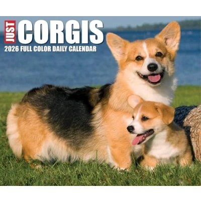 Image of Just Corgis Desk Calendar 2026
