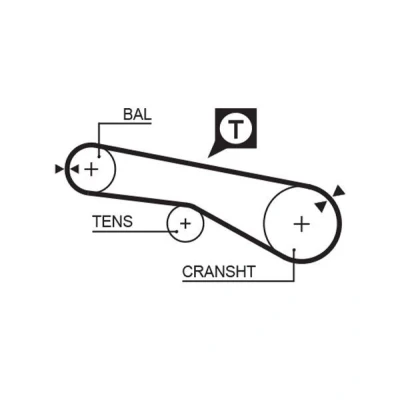 Image of 2335632010, 2335632020, 2335632030, 2335632050, 2335632051 Timing Belt GATES FleetRunner Micro V Stretch Fit 5074XS 55 524mm 12,7mm