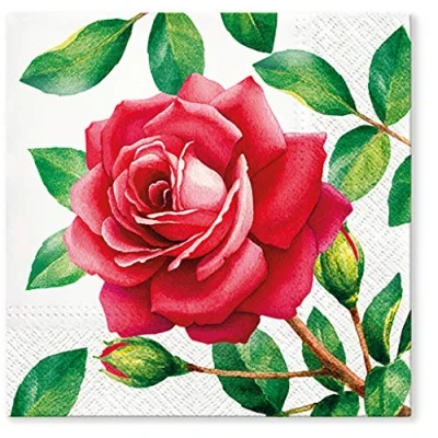 Image of Tete a 3Ply Flowery Tissue Paper Napkins Serviettes 33cm x Pack of 20 (SPECIAL ROSE)