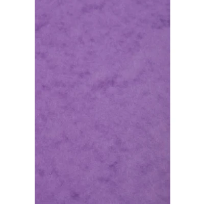 Image of Clairefontaine Ref 3131Z Europa Coloured Card (Pack of 50 Sheets) A3 (420 x 297mm) Size, 265gsm, 300 Micron Mottled Pressboard, Acid Free Lilac Colour