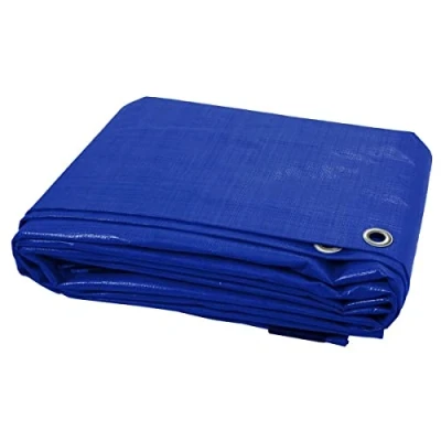 Image of PMS 12FTx10FT Blue Tarpaulin W/12 Metal Eyes in Poly Bag