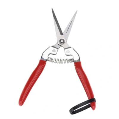 Image of Garden Rose Pruning Shears Scissors,Professional Hand Pruners Straight/Curved Blades Stainless Steel,Pruning Snips,Flower Arranging,Plant Trimming,Fruit Harvesting(Straight Blade)