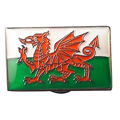 Image of Wales, Welsh Flag Metal Enamelled Pin Badge Lapel XJKB3 10
