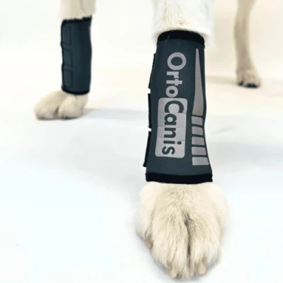 Image of Ortocanis Dog Front Leg Brace Arthritis, Ligament Injuries, Tendon Injuries or Agility Dogs Made of Neoprene ARD Size M 14 16 cm